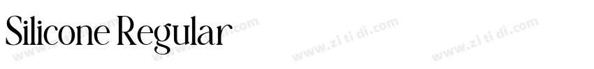 Silicone Regular字体转换
